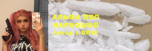мяу мяу мука Аркадак