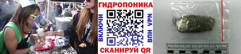 купить закладку  Соликамск  Бошки марихуана SATIVA & INDICA 